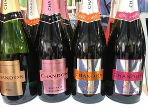 老外品尝国产红酒视频,老外品鉴国产佳酿之旅