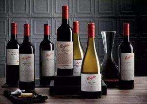 国产红酒图片早安视频,早安，醉美时光